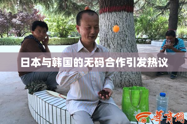日本与韩国的无码合作引发热议