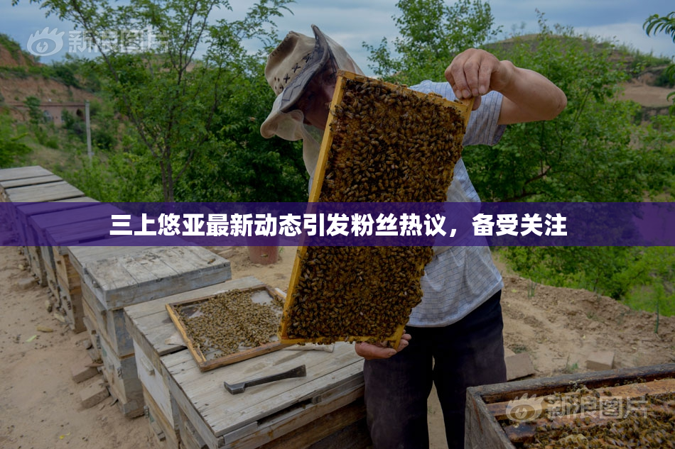 三上悠亚最新动态引发粉丝热议，备受关注