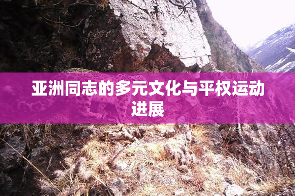 亚洲同志的多元文化与平权运动进展
