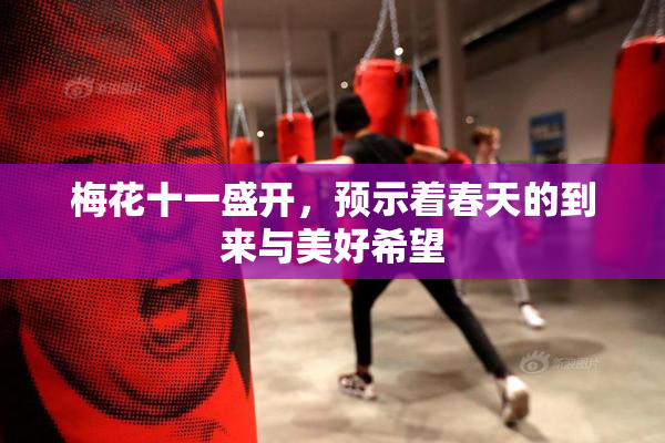 梅花十一盛开，预示着春天的到来与美好希望
