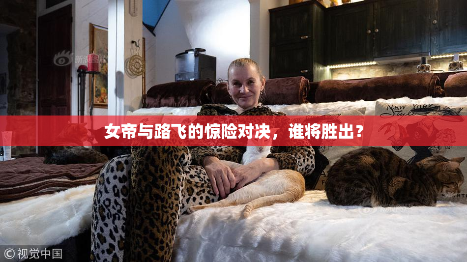 女帝与路飞的惊险对决，谁将胜出？