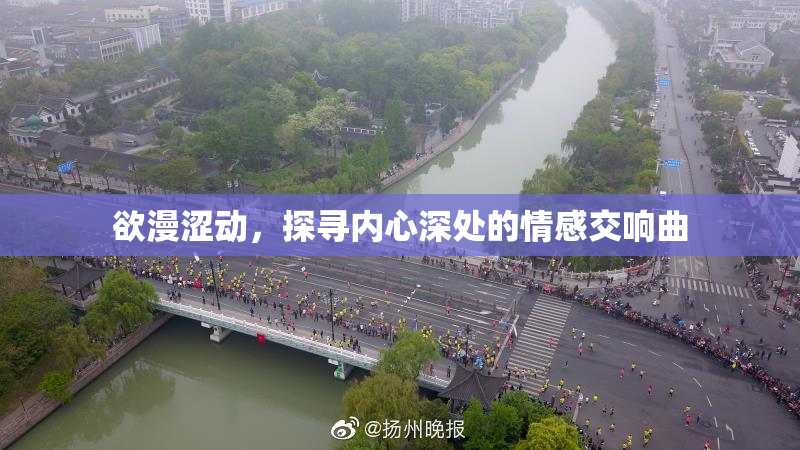 欲漫涩动，探寻内心深处的情感交响曲