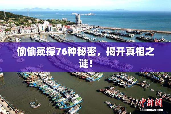 偷偷窥探76种秘密，揭开真相之谜！