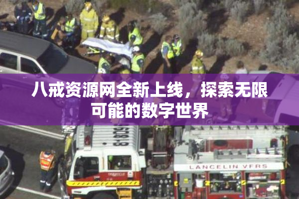 八戒资源网全新上线，探索无限可能的数字世界