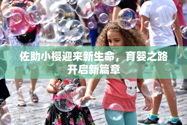 佐助小樱迎来新生命，育婴之路开启新篇章