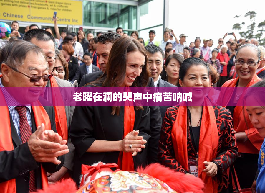 老曜在澜的哭声中痛苦呐喊