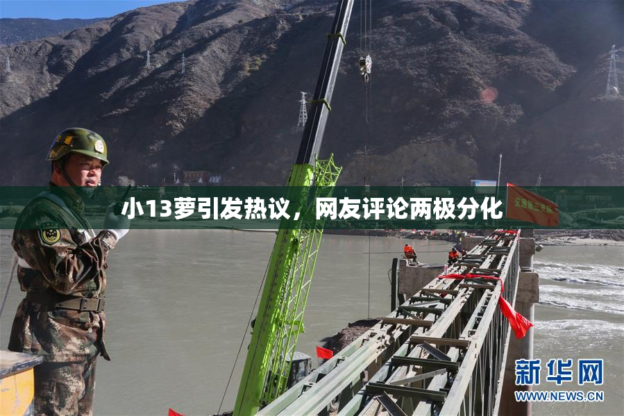 小13萝引发热议，网友评论两极分化