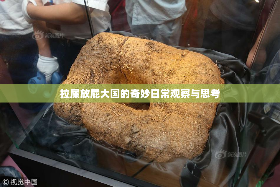 拉屎放屁大国的奇妙日常观察与思考