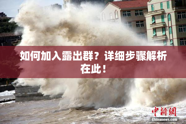 如何加入露出群？详细步骤解析在此！