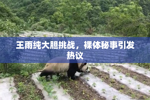 王雨纯大胆挑战，裸体秘事引发热议