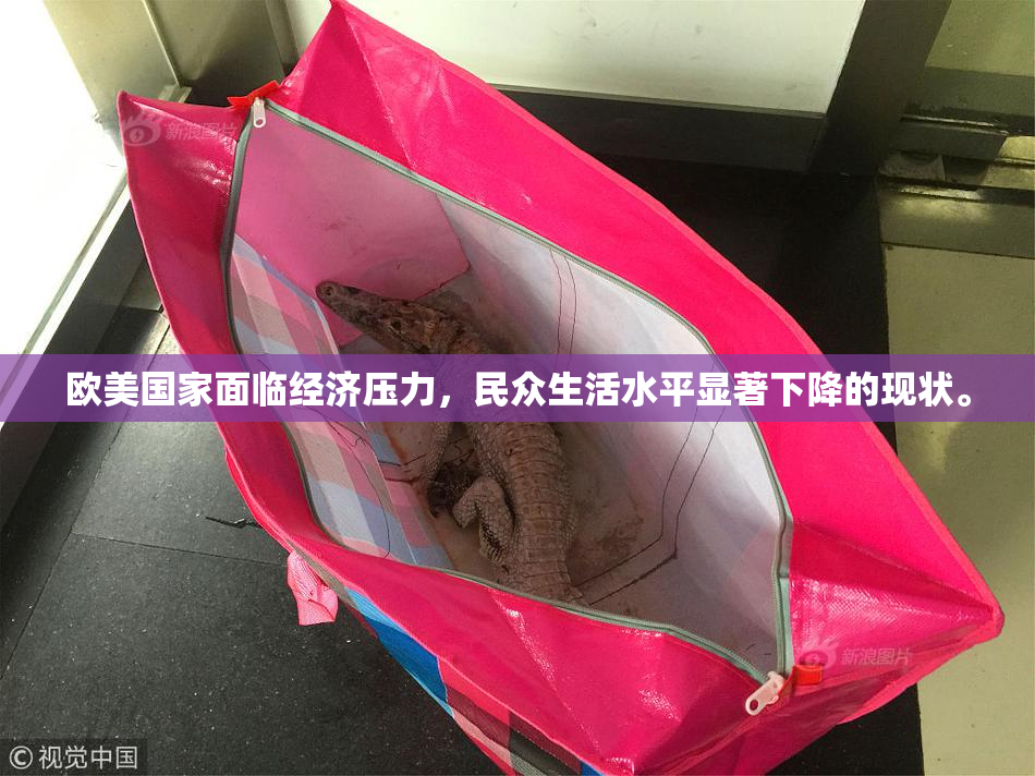 欧美国家面临经济压力，民众生活水平显著下降的现状。
