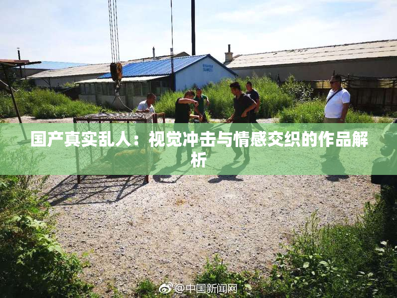 国产真实乱人：视觉冲击与情感交织的作品解析