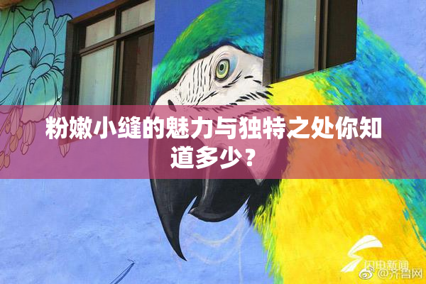 粉嫩小缝的魅力与独特之处你知道多少？