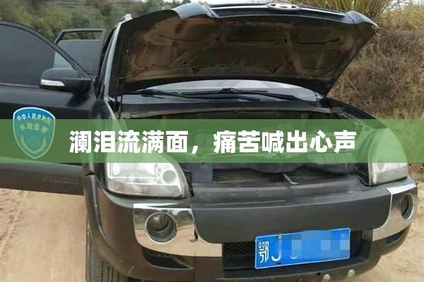 澜泪流满面，痛苦喊出心声