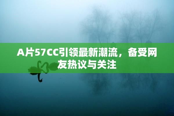 A片57CC引领最新潮流，备受网友热议与关注