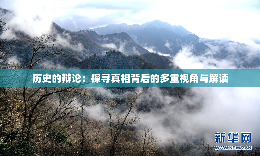 历史的辩论：探寻真相背后的多重视角与解读