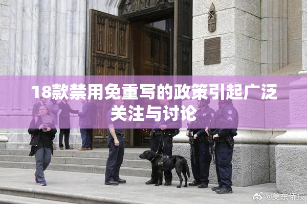 18款禁用免重写的政策引起广泛关注与讨论