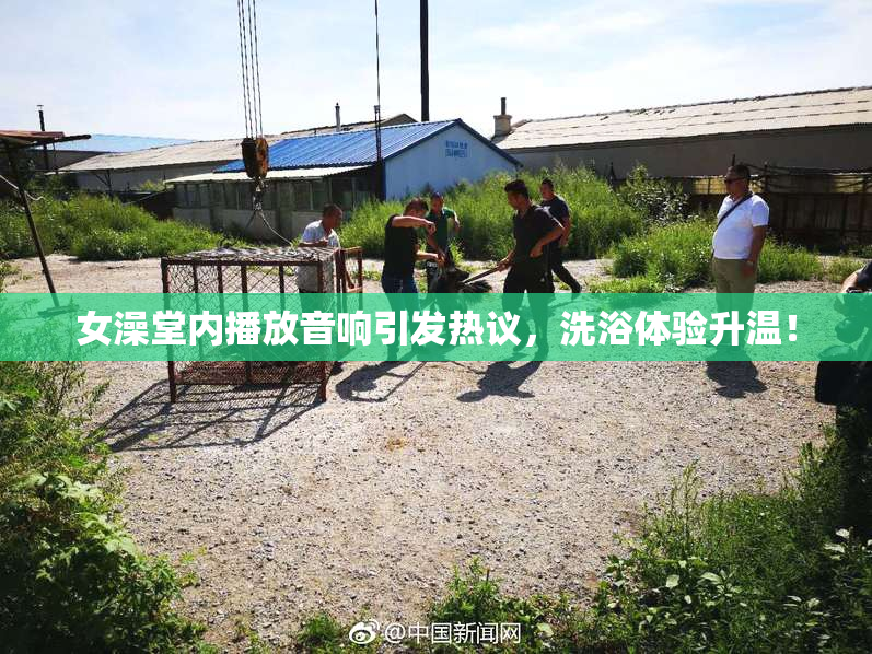 女澡堂内播放音响引发热议，洗浴体验升温！