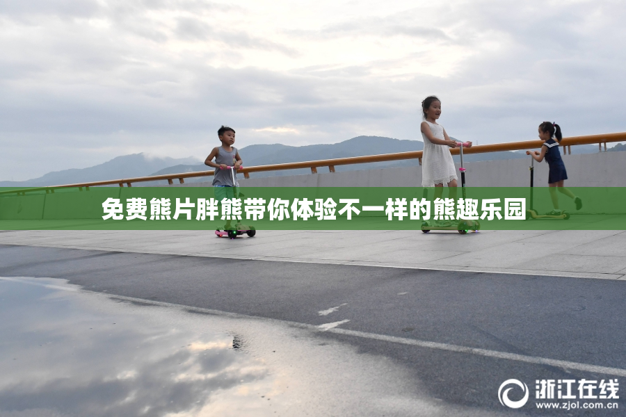 免费熊片胖熊带你体验不一样的熊趣乐园