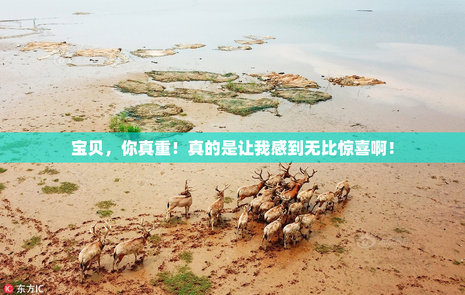宝贝，你真重！真的是让我感到无比惊喜啊！