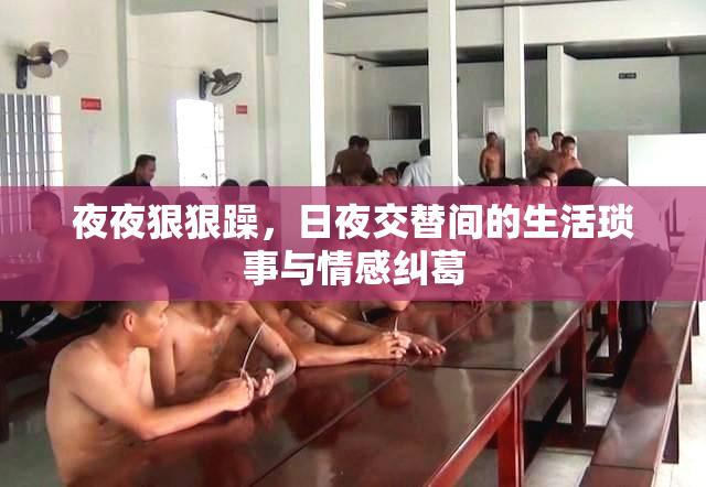 夜夜狠狠躁，日夜交替间的生活琐事与情感纠葛