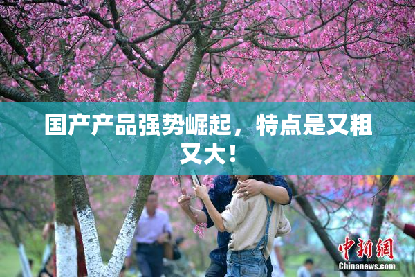 国产产品强势崛起，特点是又粗又大！