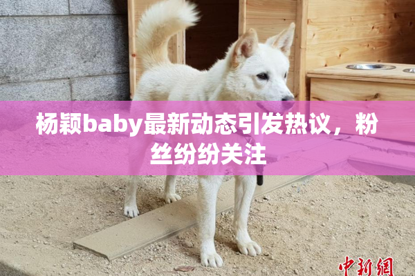 杨颖baby最新动态引发热议，粉丝纷纷关注
