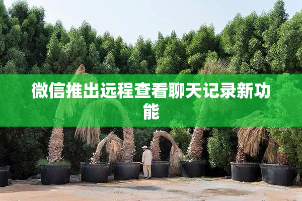 微信推出远程查看聊天记录新功能