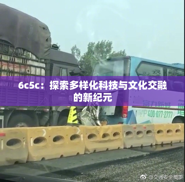 6c5c：探索多样化科技与文化交融的新纪元
