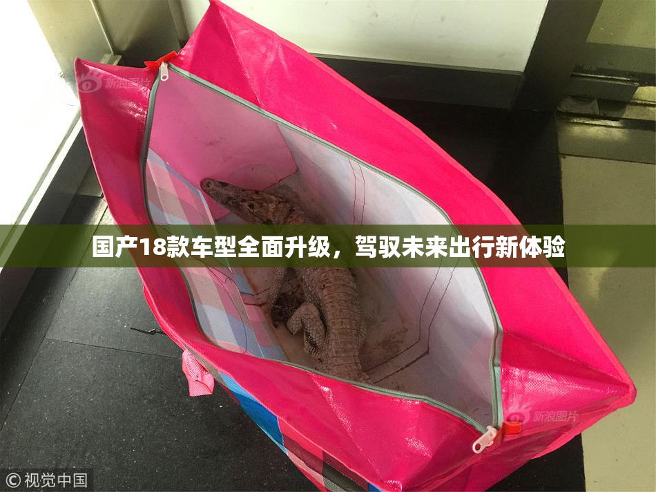 国产18款车型全面升级，驾驭未来出行新体验