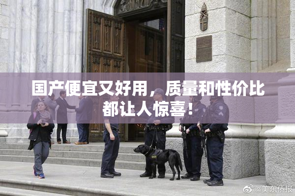 国产便宜又好用，质量和性价比都让人惊喜！