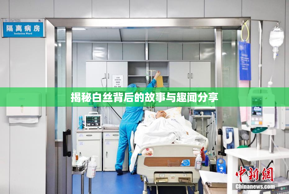 揭秘白丝背后的故事与趣闻分享