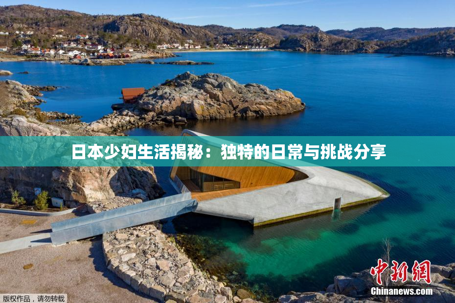 日本少妇生活揭秘：独特的日常与挑战分享