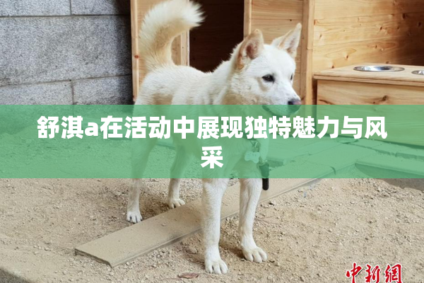 舒淇a在活动中展现独特魅力与风采