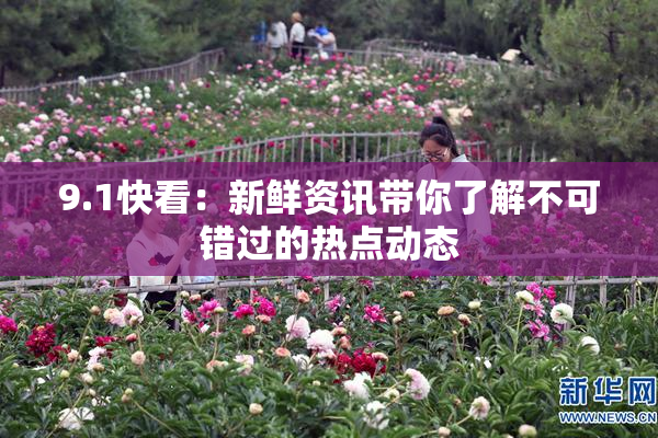 9.1快看：新鲜资讯带你了解不可错过的热点动态
