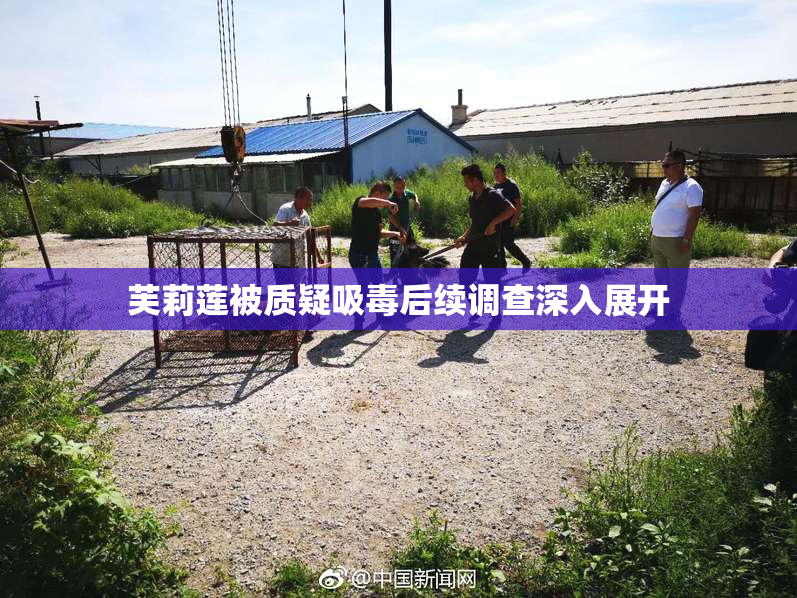芙莉莲被质疑吸毒后续调查深入展开