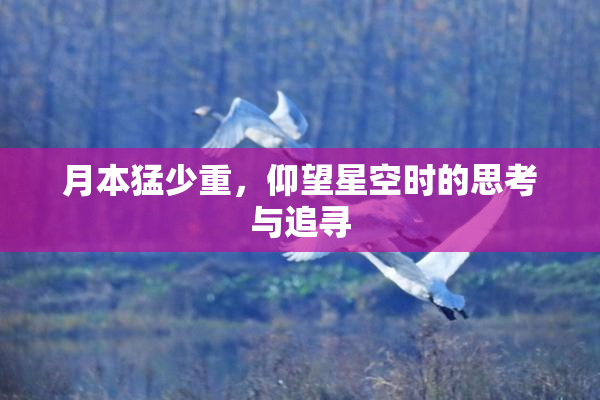 月本猛少重，仰望星空时的思考与追寻
