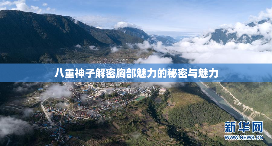 八重神子解密胸部魅力的秘密与魅力