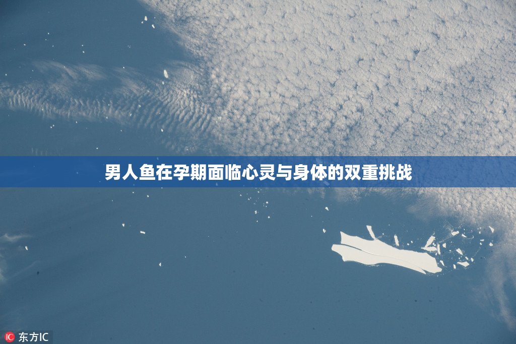 男人鱼在孕期面临心灵与身体的双重挑战