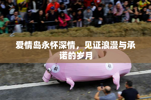 爱情岛永怀深情，见证浪漫与承诺的岁月