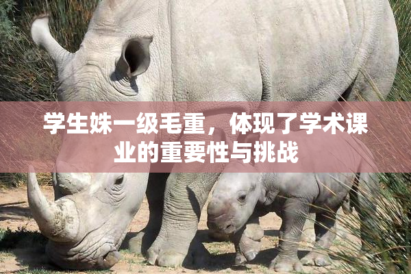 学生姝一级毛重，体现了学术课业的重要性与挑战