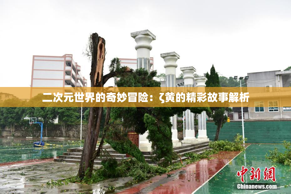 二次元世界的奇妙冒险：ζ黄的精彩故事解析