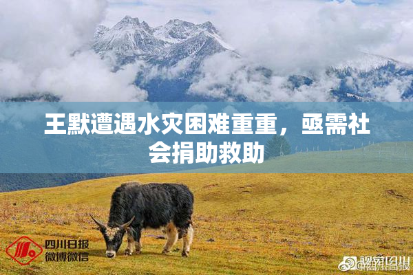 王默遭遇水灾困难重重，亟需社会捐助救助