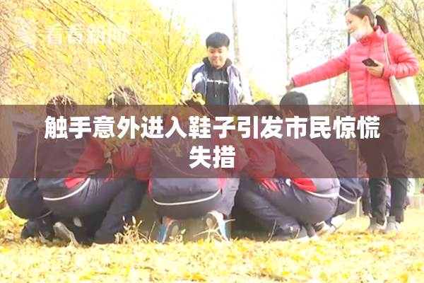 触手意外进入鞋子引发市民惊慌失措