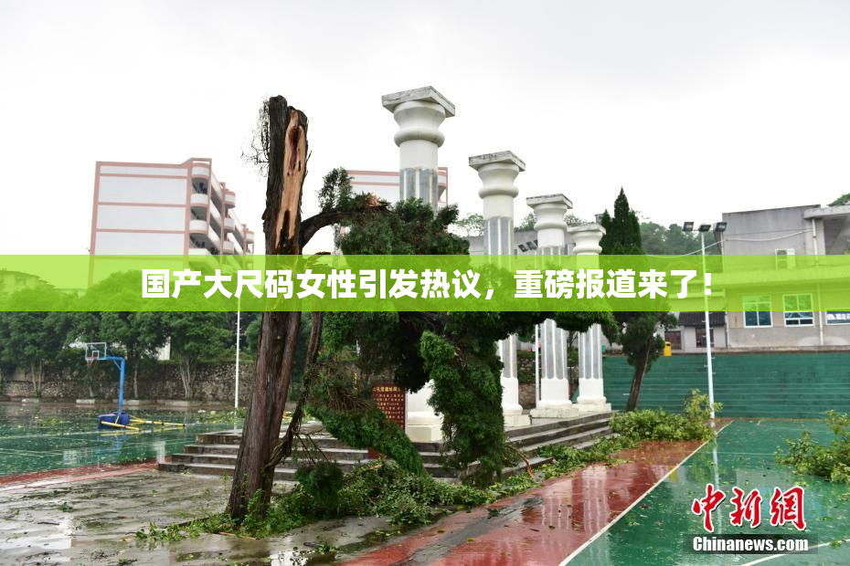 国产大尺码女性引发热议，重磅报道来了！