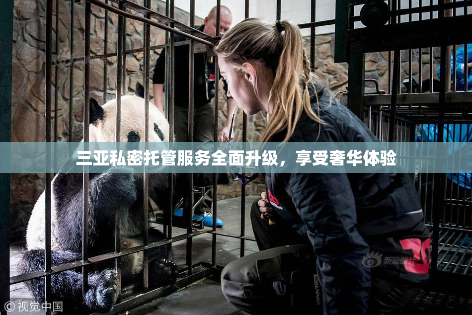 三亚私密托管服务全面升级，享受奢华体验