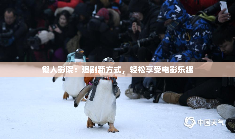 懒人影院：追剧新方式，轻松享受电影乐趣