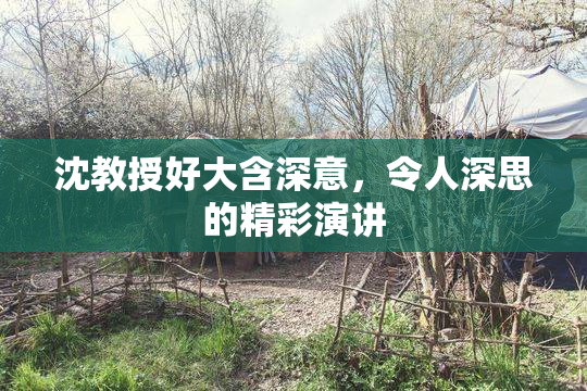 沈教授好大含深意，令人深思的精彩演讲
