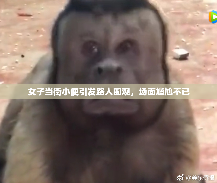 女子当街小便引发路人围观，场面尴尬不已
