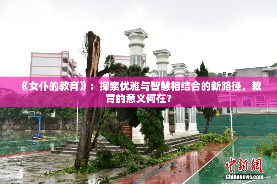 《女仆的教育》：探索优雅与智慧相结合的新路径，教育的意义何在？